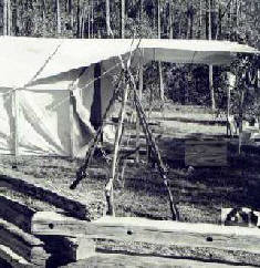 Reenactors' guns stacked in camp